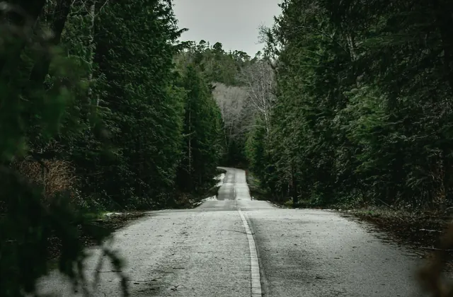 Rainy BC forest road photo for a car appraisal overview guide