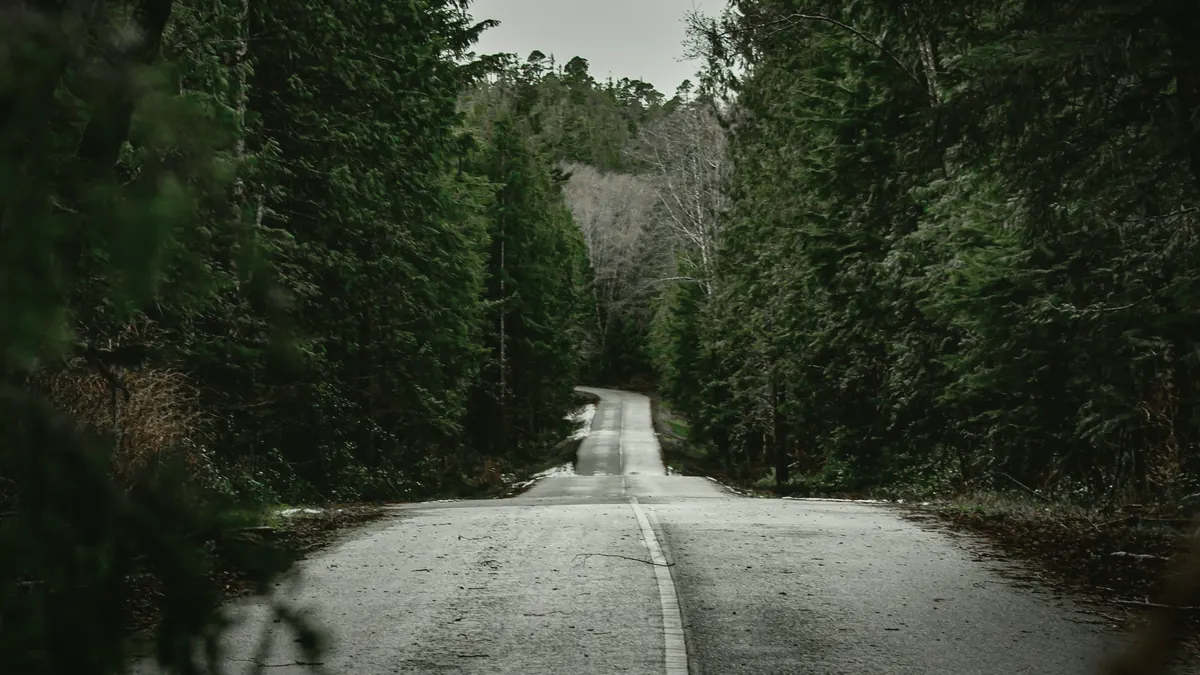 Rainy forest highway photo for British Columbia vehicle valuation coverage