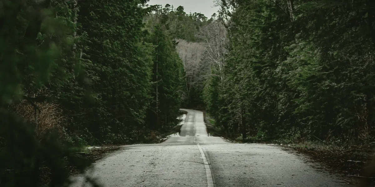 Rainy BC highway through forest for province-wide vehicle valuation guidance